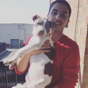 Meet your Posher, Damon